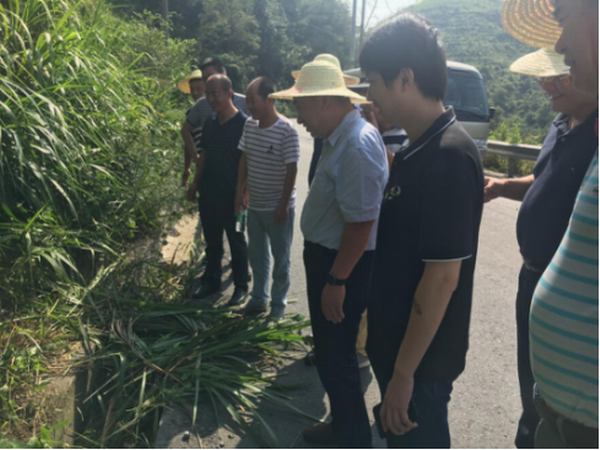 澳门十大正规网站