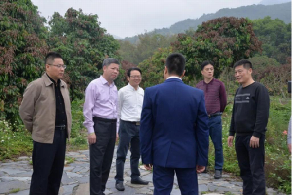 澳门十大正规网站