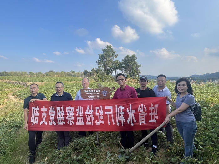 澳门十大正规网站