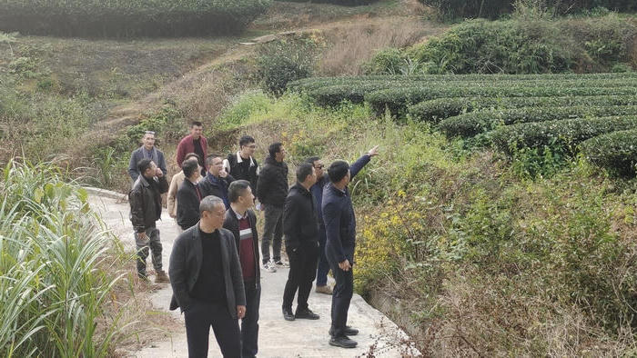 澳门十大正规网站