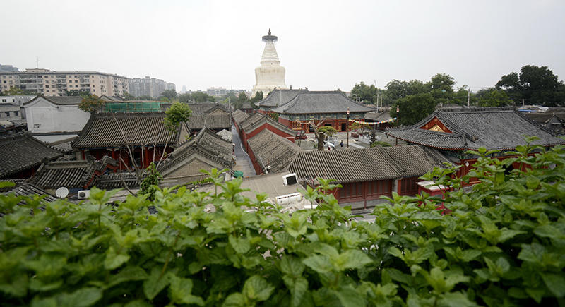 澳门十大正规网站