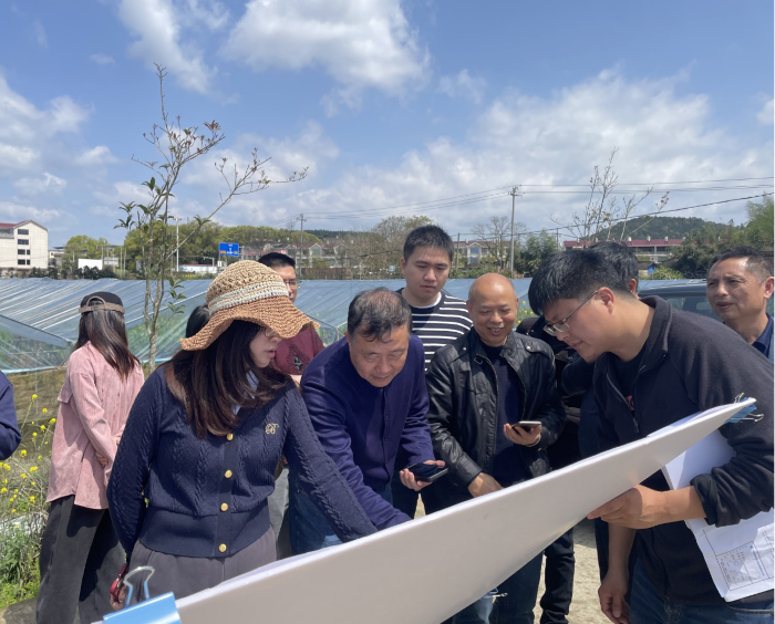 澳门十大正规网站
